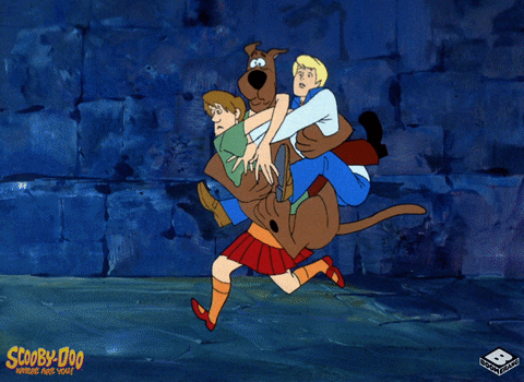 70s cartoons-The Scooby-Doo Show